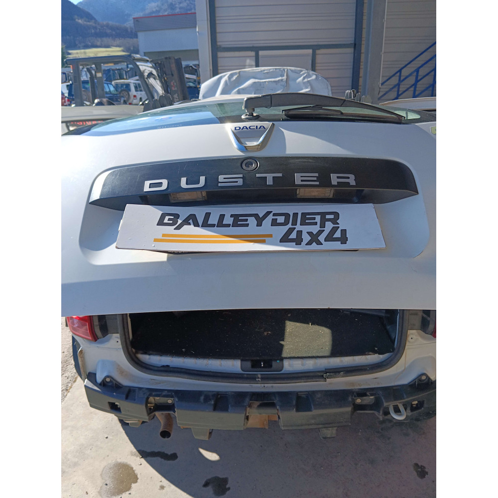 Feu plaque d'immatriculation Duster Van 2011